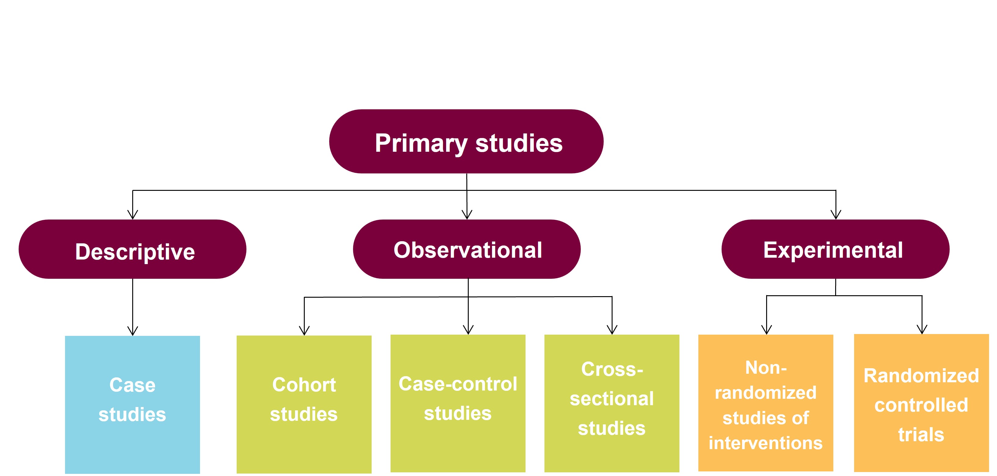 Algorithm For Classifying The Study Design Of Primary Studies 